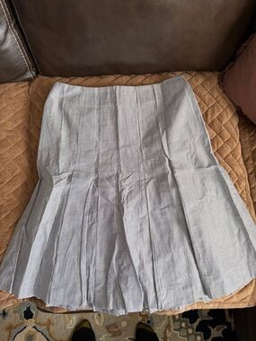 Brooks Brothers Light Gray Pleated Skirt